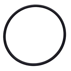 O Ring para ducha  Lorenzetti 7581011